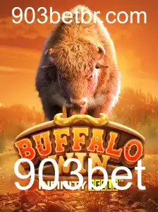 Explorando o Emocionante Mundo de BuffaloWin na Plataforma 903bet